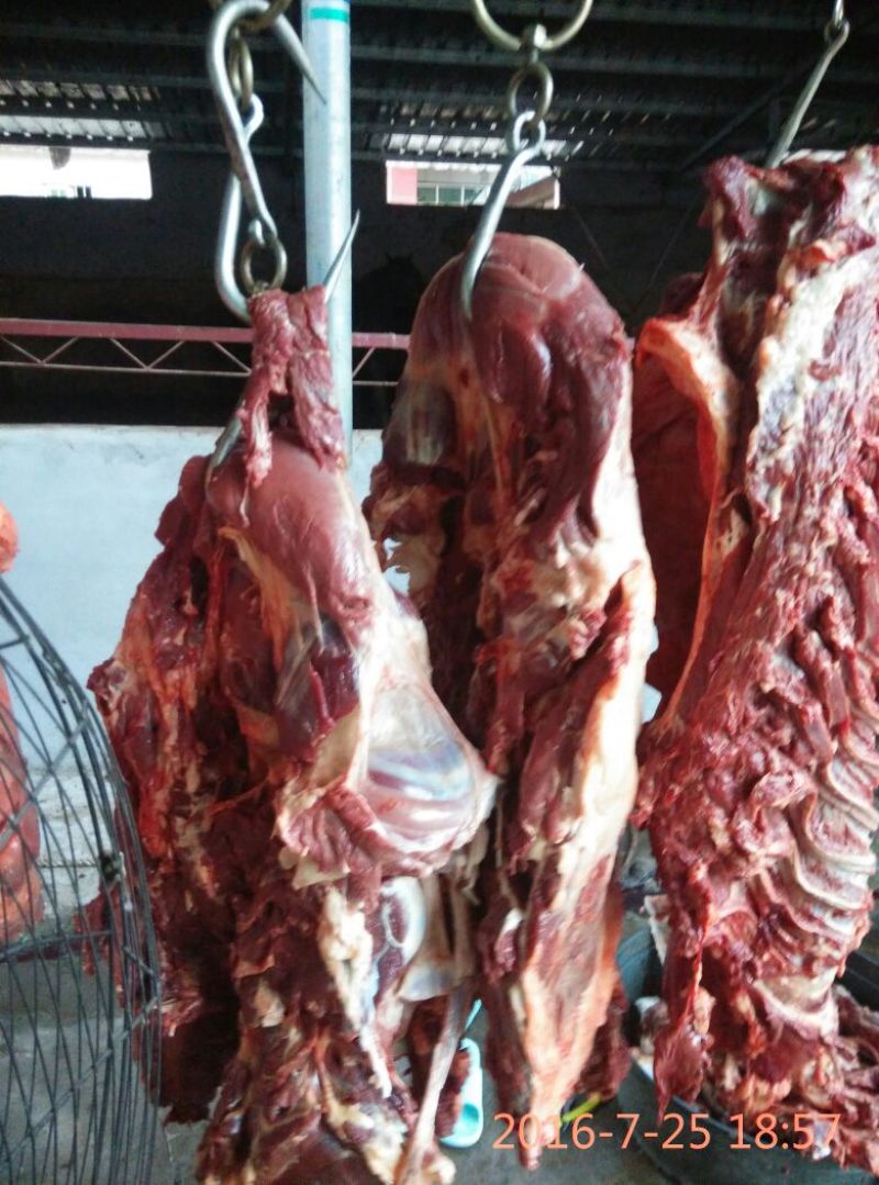 驴肉