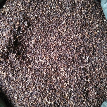 桂枝小粒