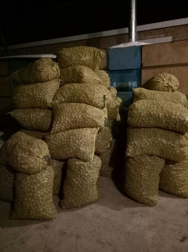 纸皮核桃去皮干