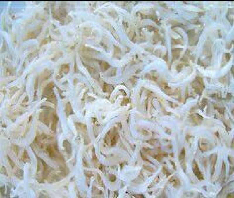 银鱼干
