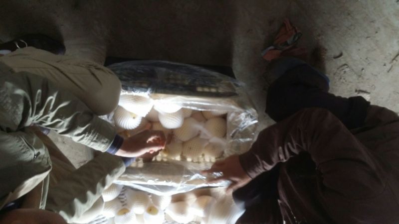 皇冠梨250~300g纸袋