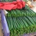 黄瓜22~25公分干花带刺