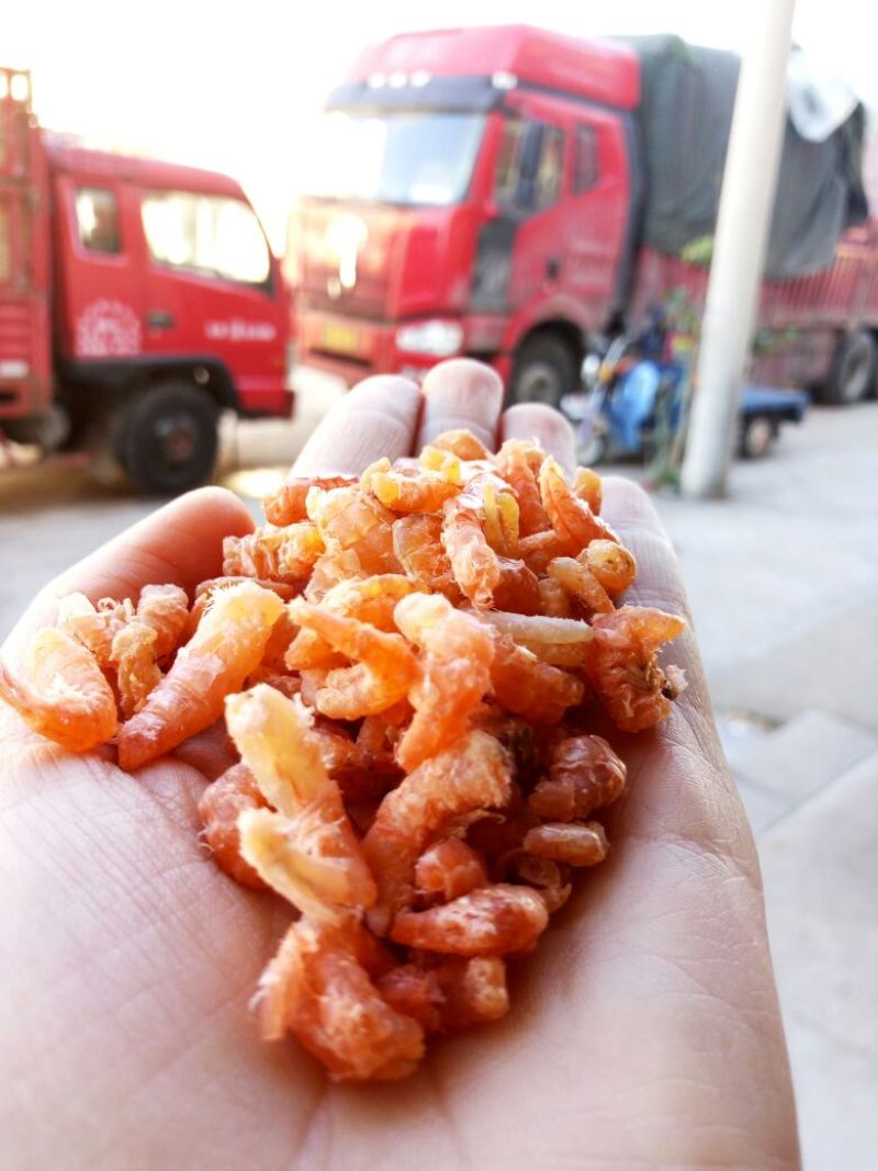 山东渤海湾无盐淡干去皮净肉虾干原干无盐海米一级