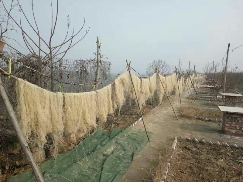 红薯粉条中粉