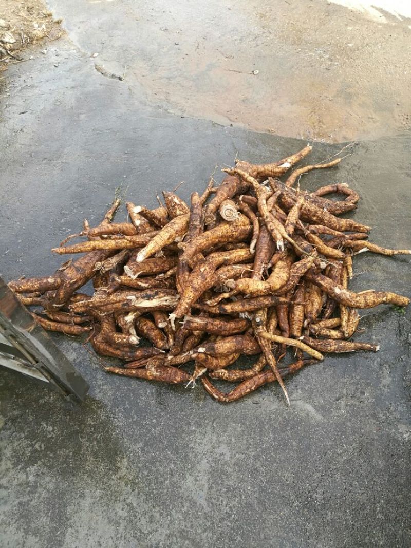 葛根粉