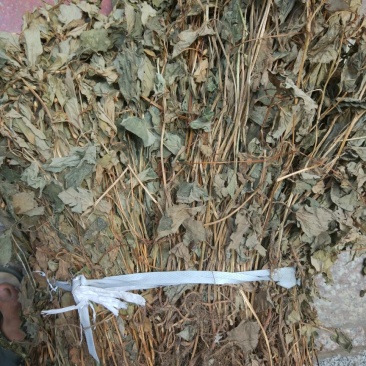 鱼腥草包装袋