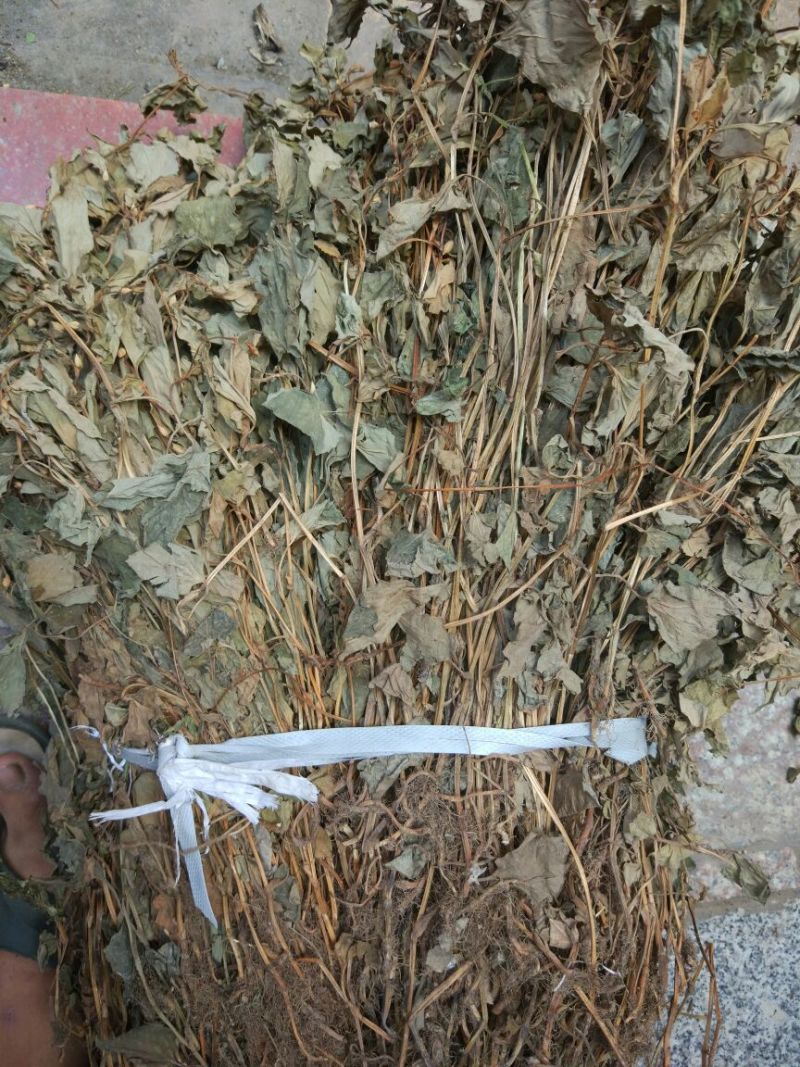 鱼腥草包装袋