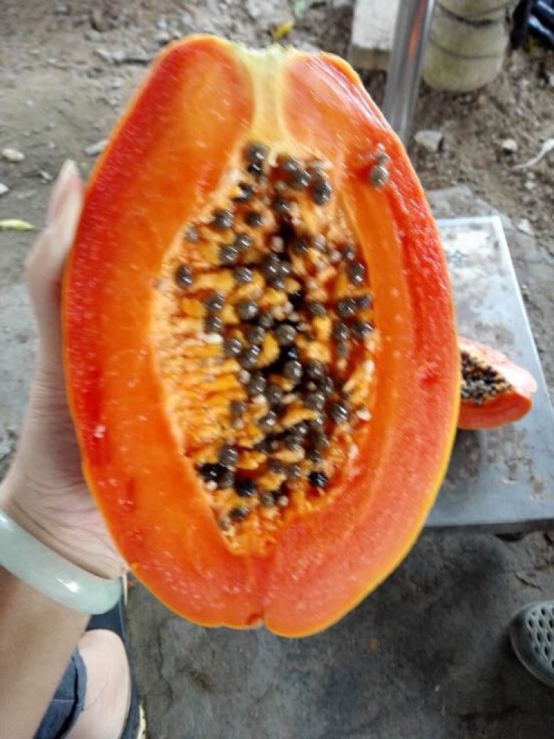 水果木瓜