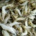 河虾活虾26~30只/kg