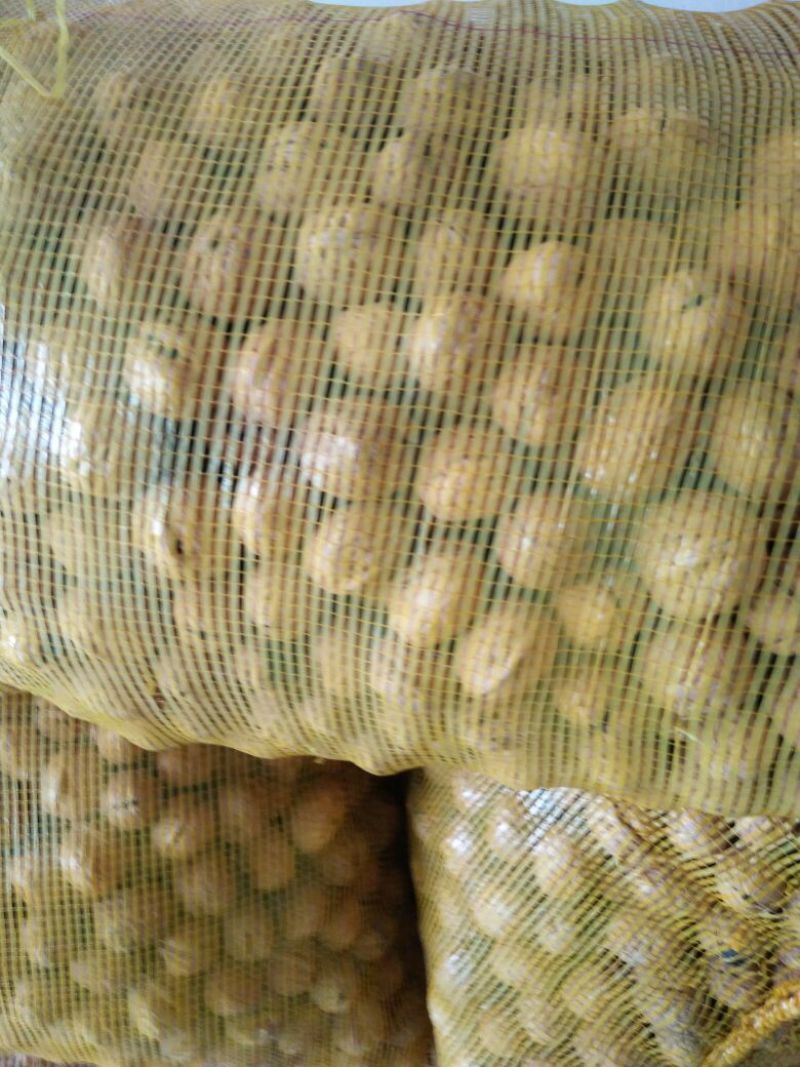薄皮核桃去皮