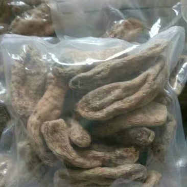 天麻一级