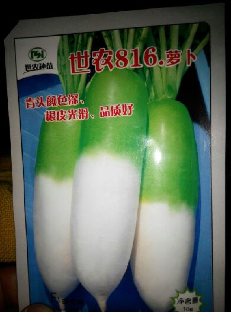 白萝卜1~1.5斤起