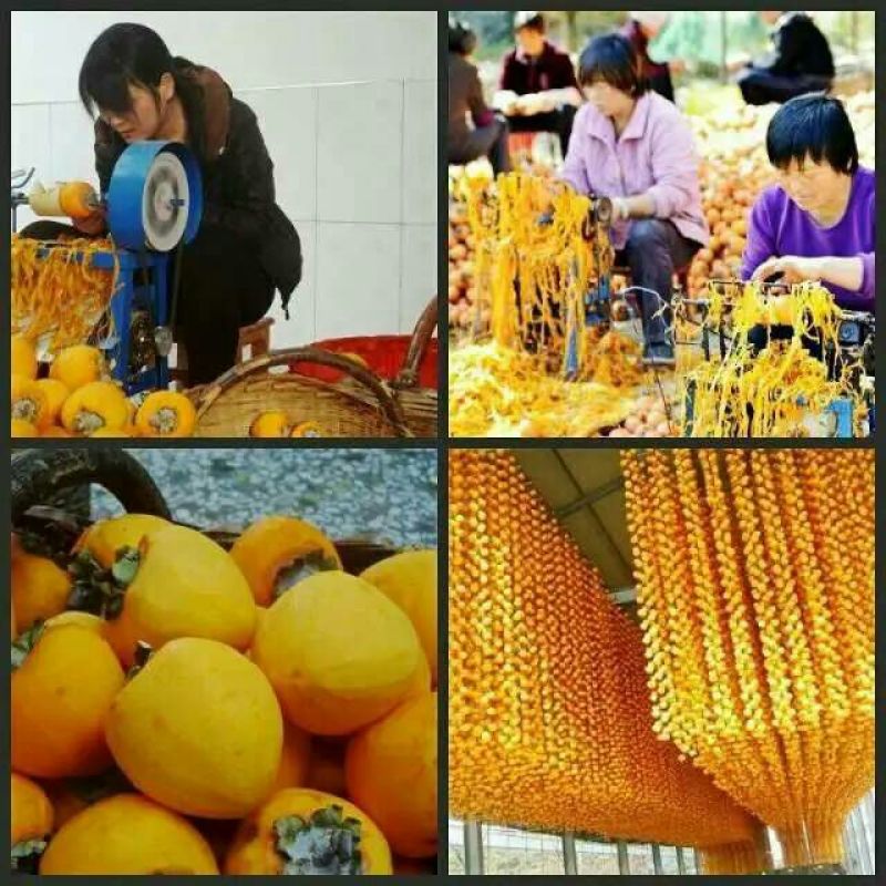 柿饼1~2两