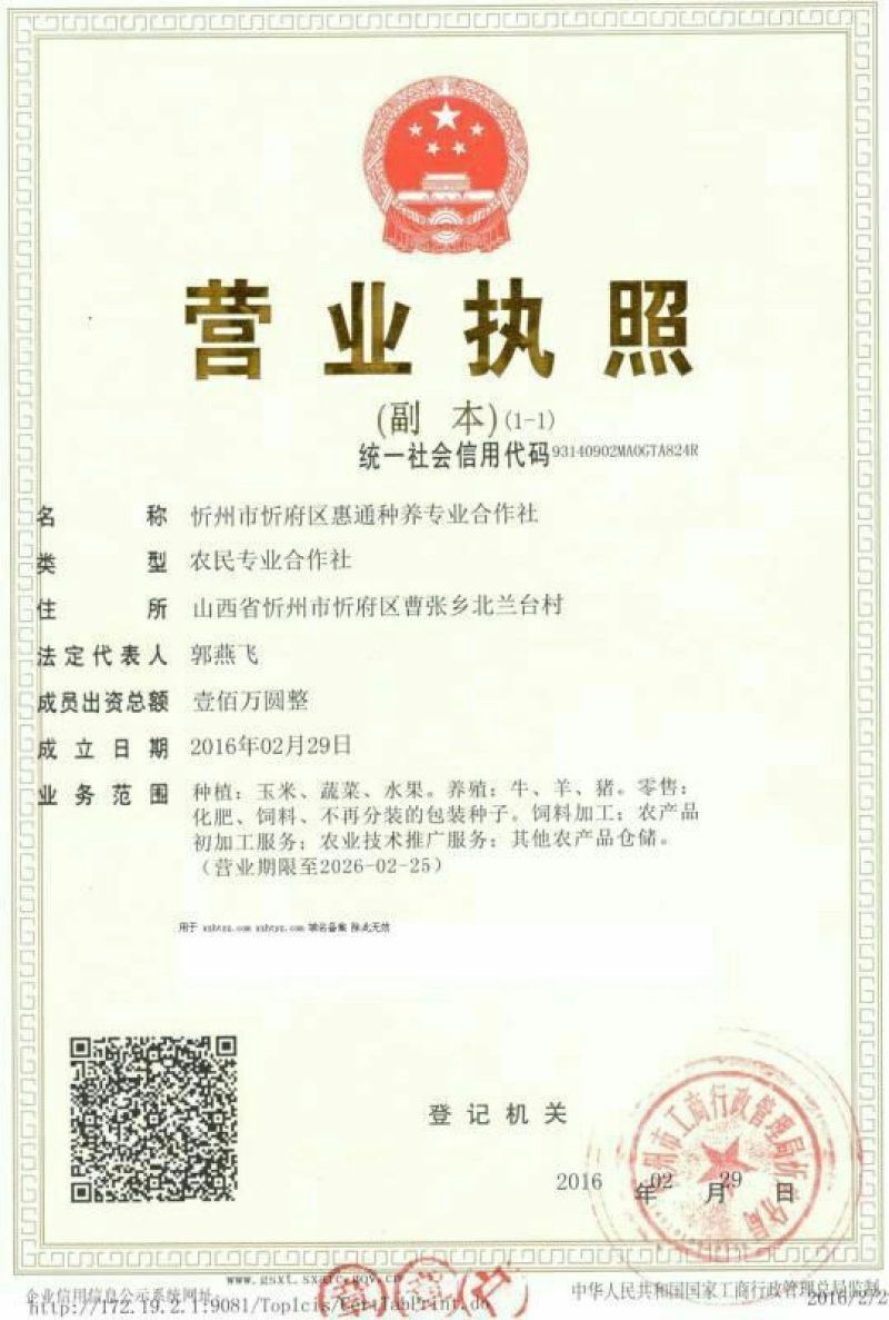 鲜辣椒15~20厘米红