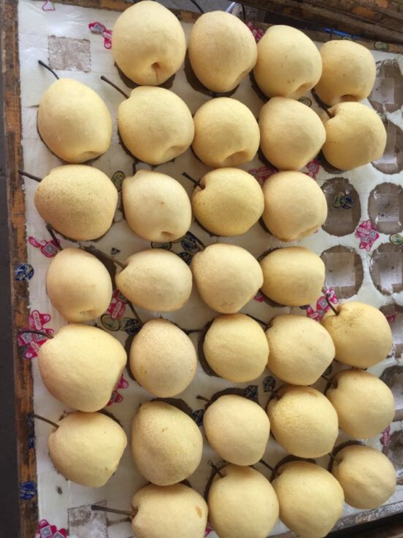 贡梨纸袋250~300g