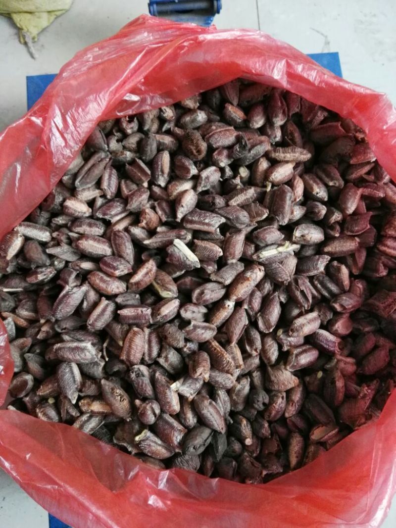 中药材