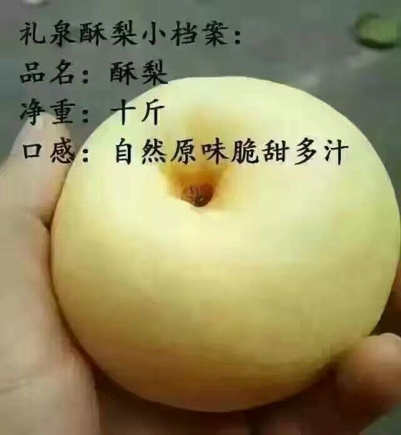 礼泉酥梨200~250g纸袋