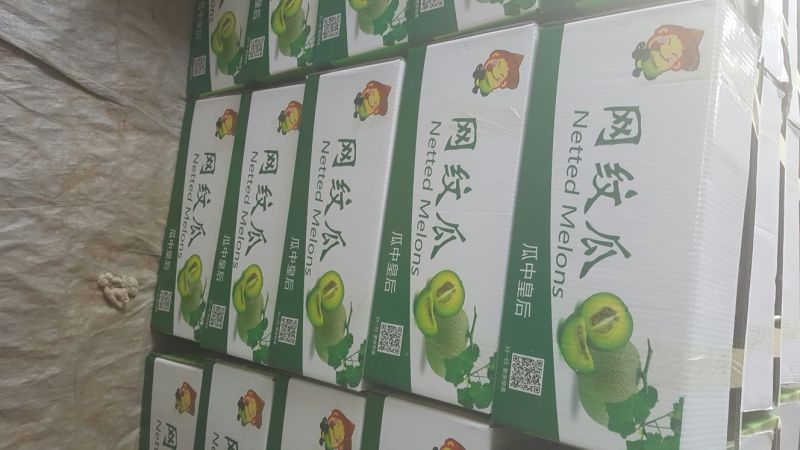 网纹瓜2斤以上椭圆形