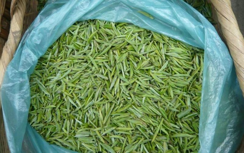 石阡苔茶特级