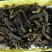 牛肉干黄牛肉冻库肉