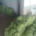 长豆角