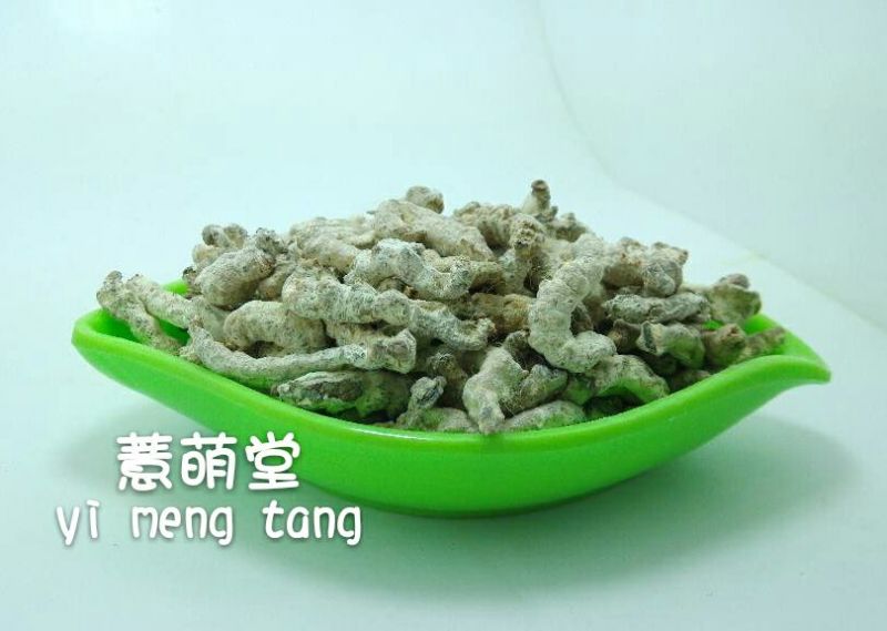 僵蚕