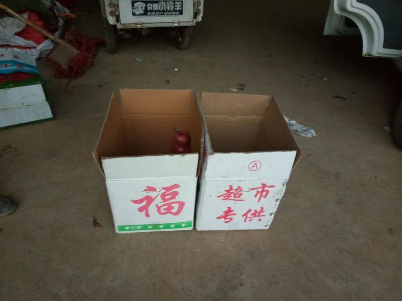 纸箱1号（530*290*370）