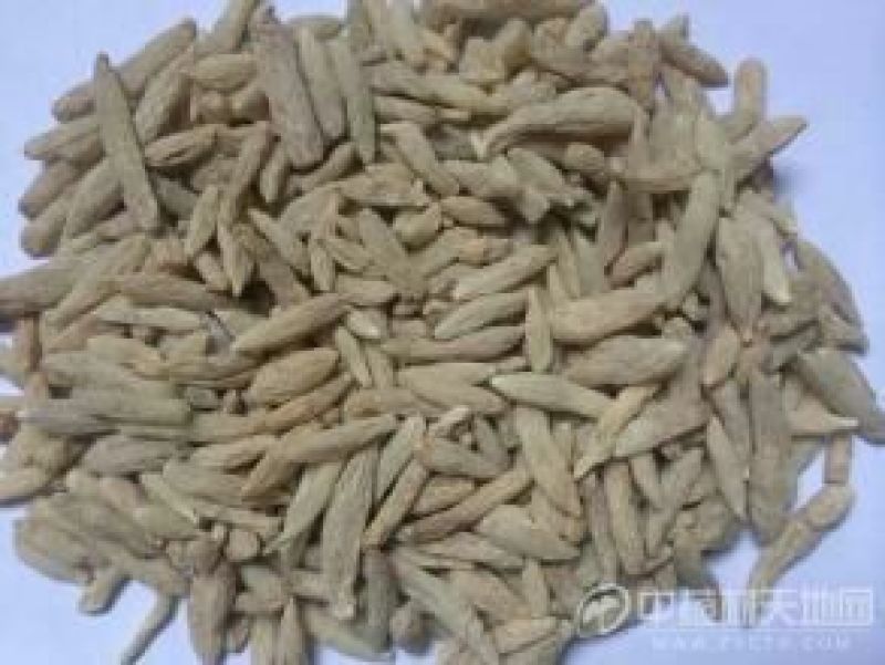 麦冬