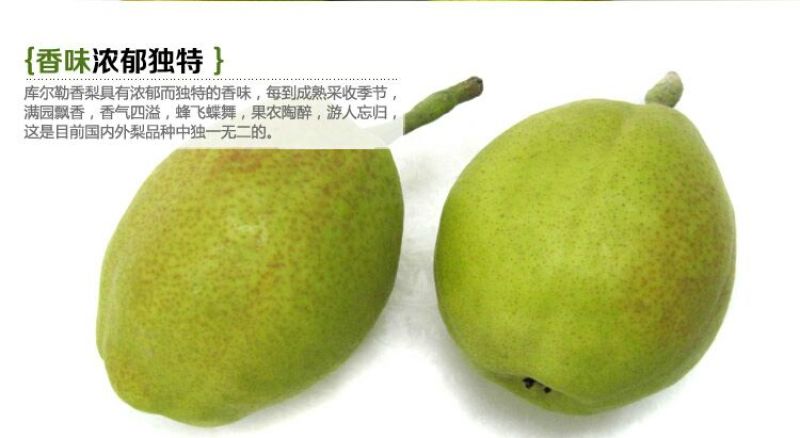 库尔勒香梨