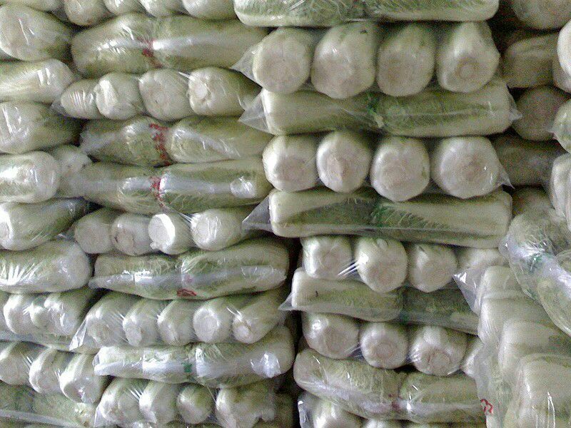 北京新三号白菜4~6斤净菜/货源充足/量大价优/欢迎联系
