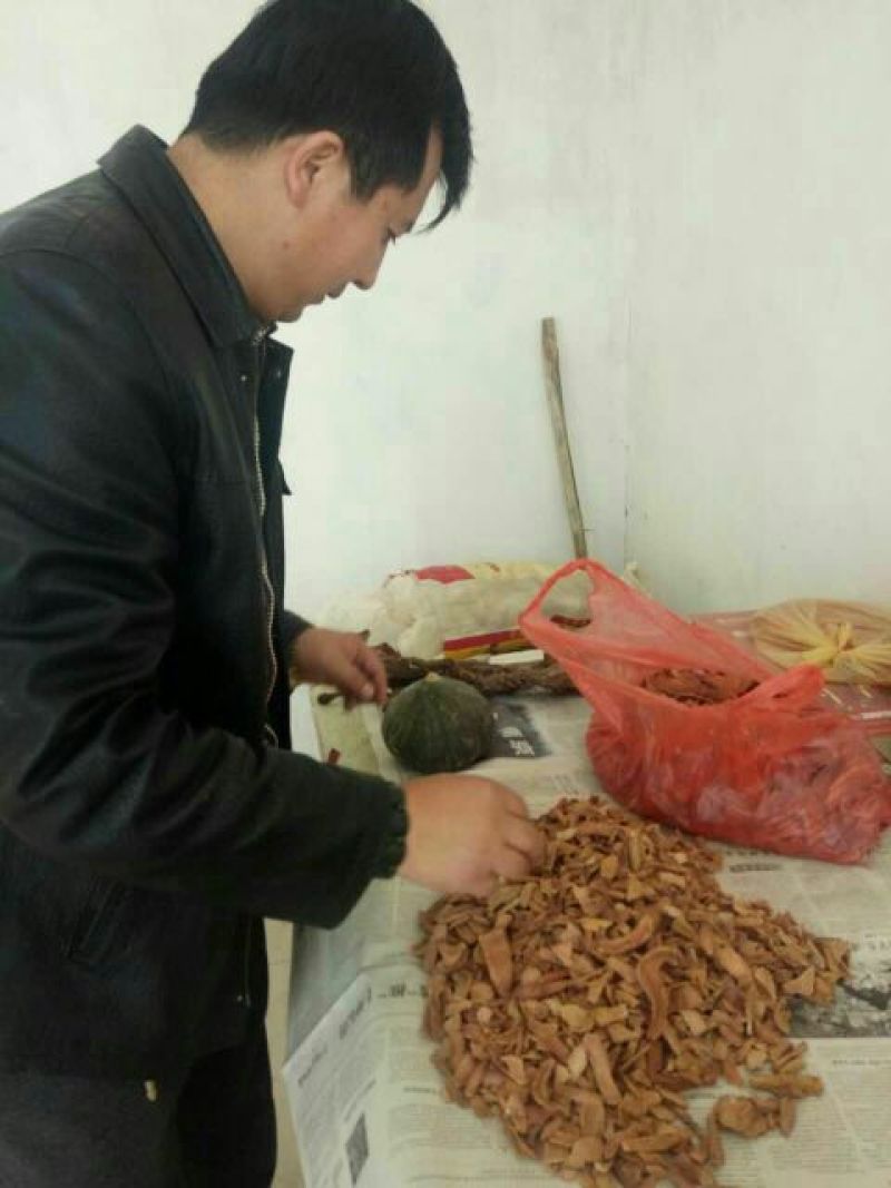 锁阳统货