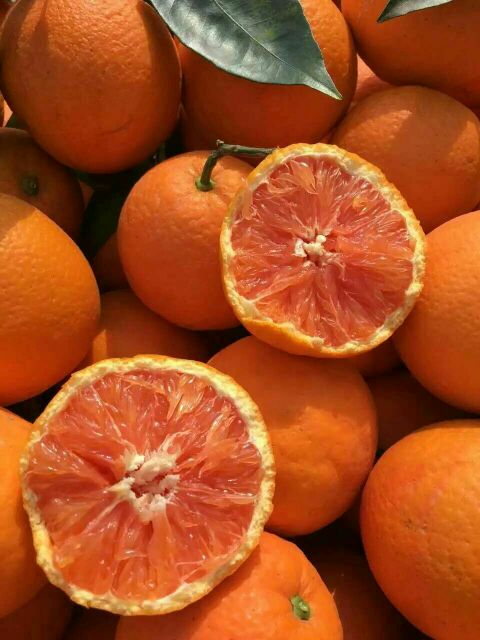 中华红脐橙湖北宜昌秭归县_批发_供应-一亩田