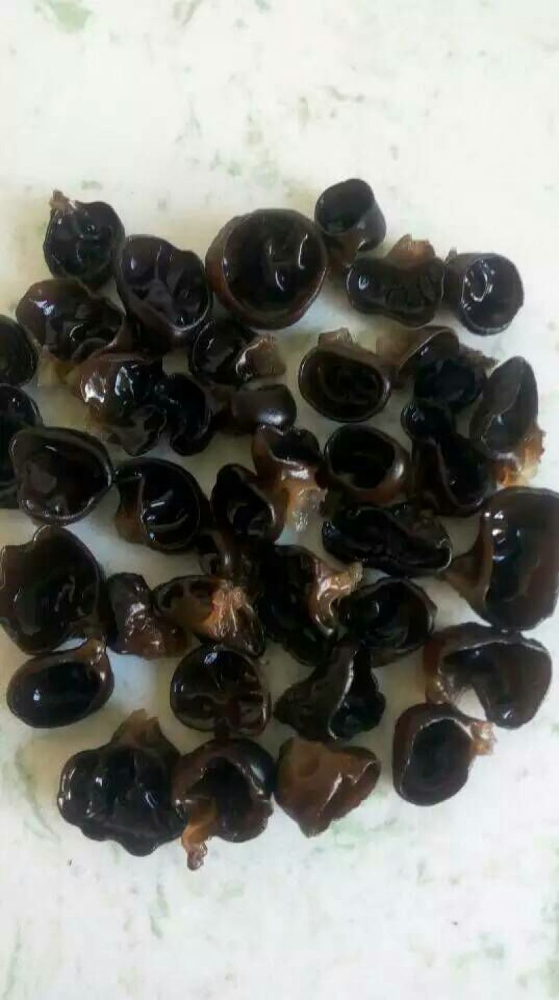 秋耳特级