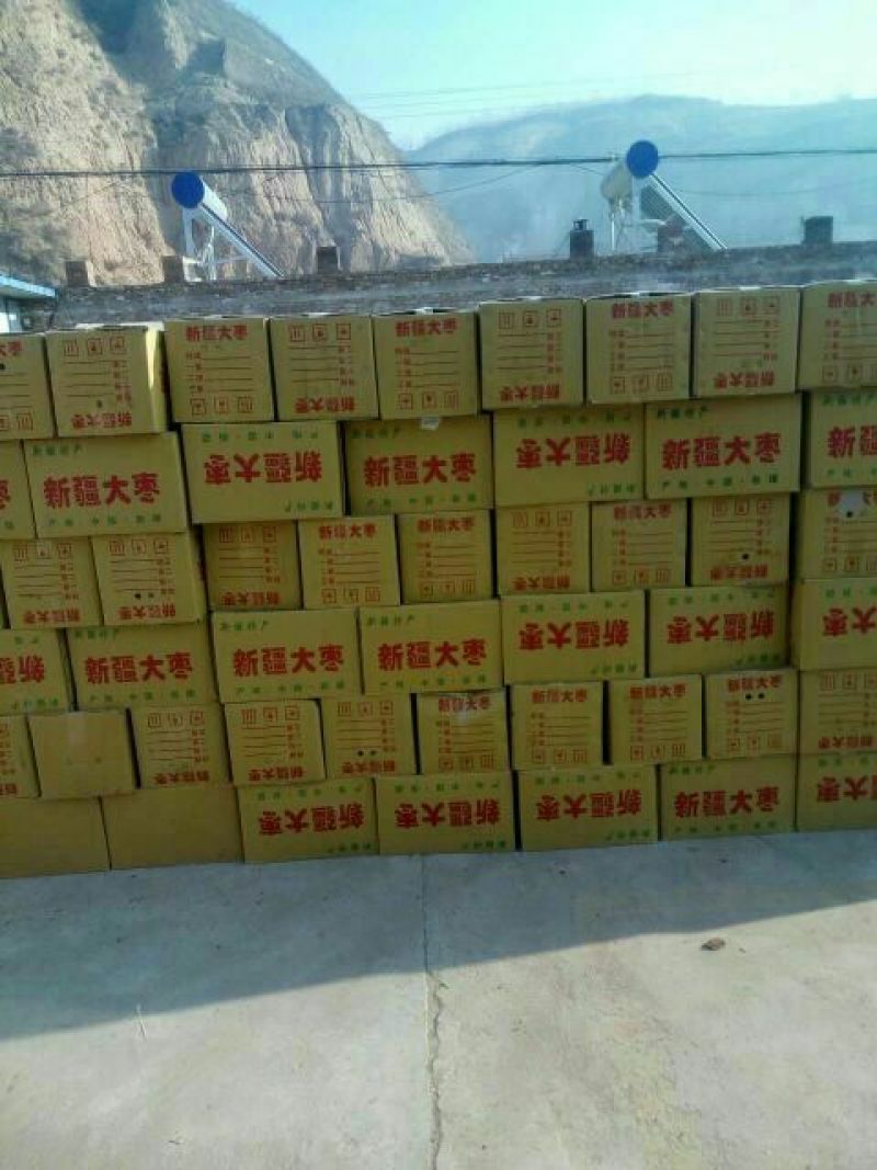 灰枣一手货源