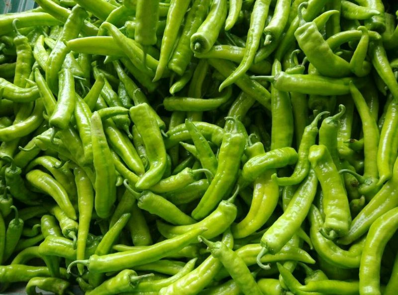 鲜辣椒10~15厘米黄