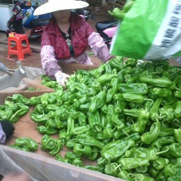 泡椒辣椒