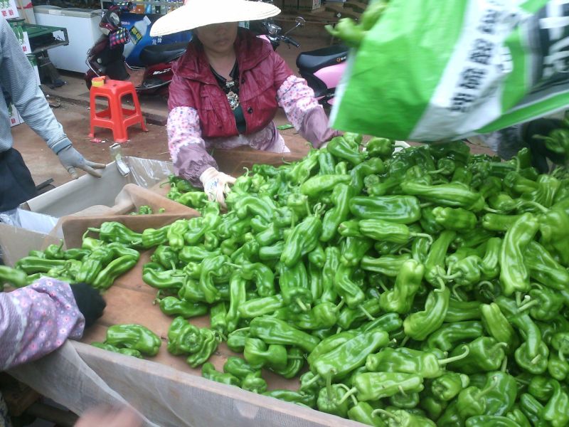 泡椒辣椒