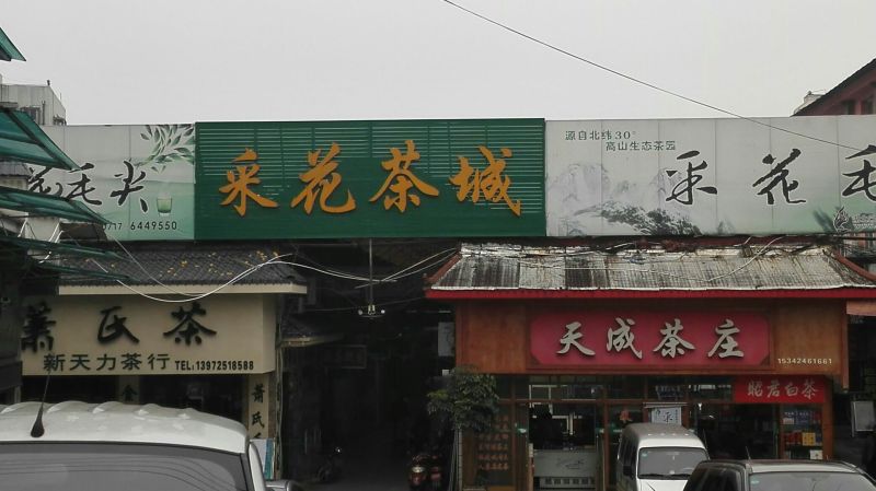五峰绿茶