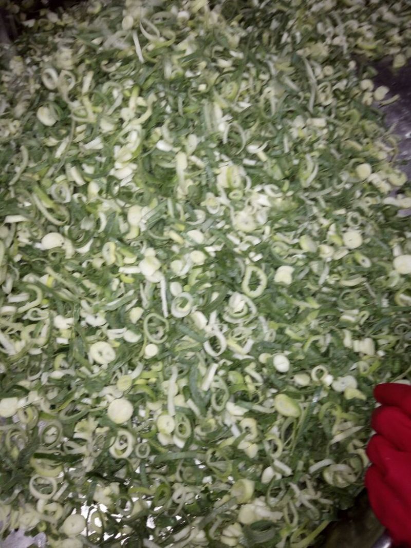 青葱大葱净葱3cm左右