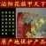808香菇3cm以上