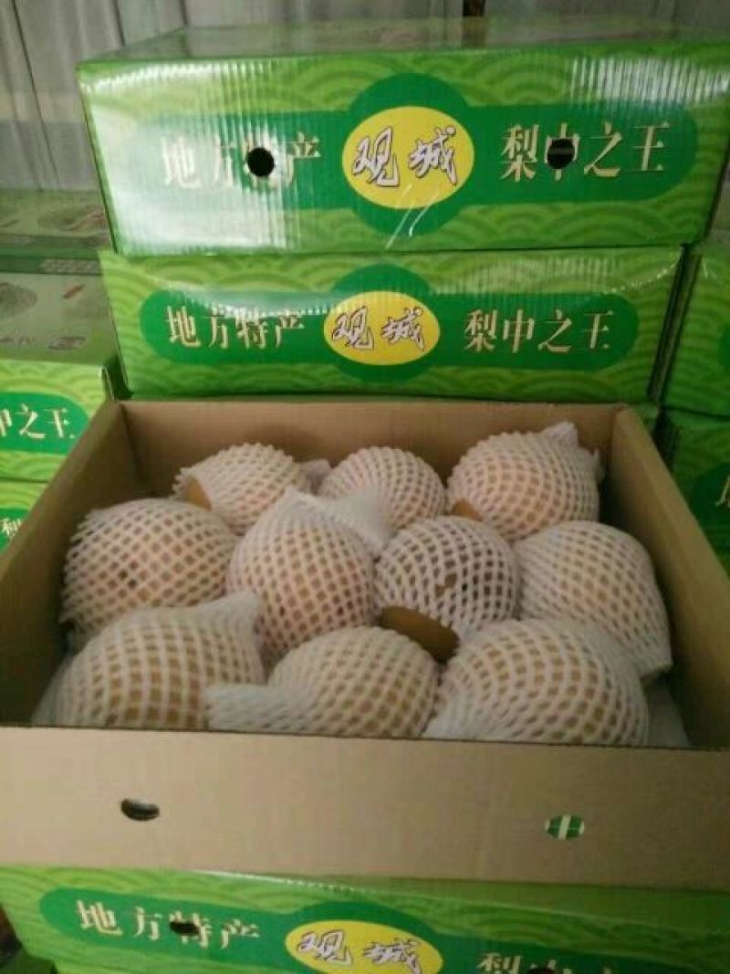 晚秋黄梨600g以上纸箱
