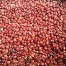 红小豆，天津本地红，散装，净粮，颜色深