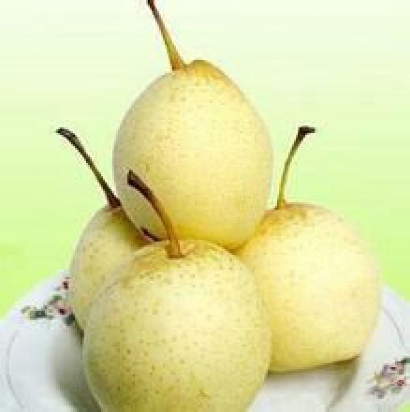 鸭梨