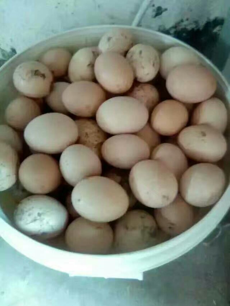 土鸡蛋食用50~60g