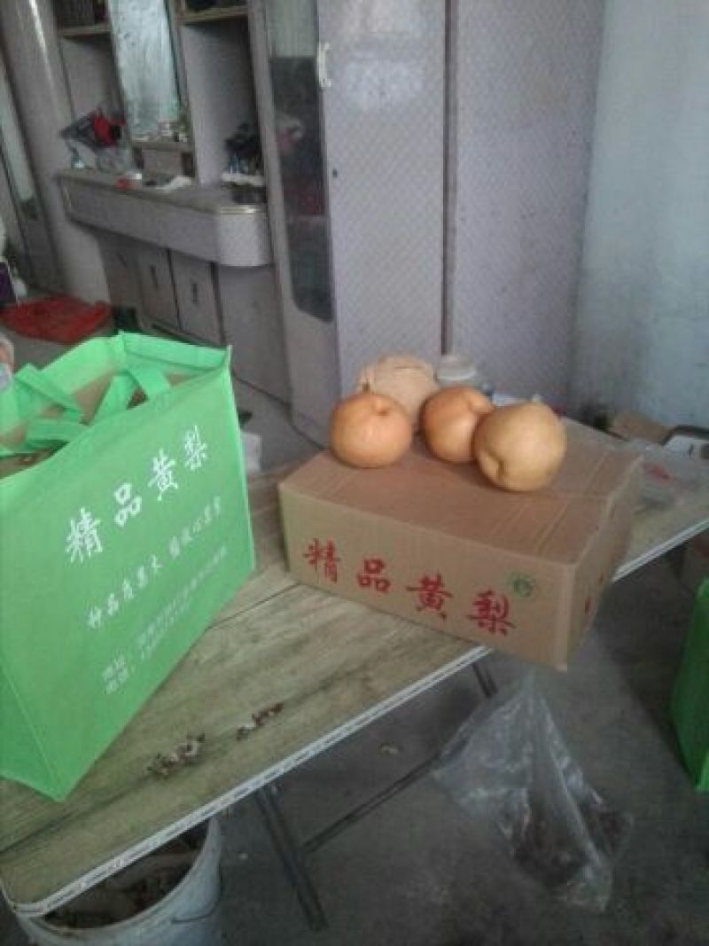 晚秋黄梨600g以上纸箱