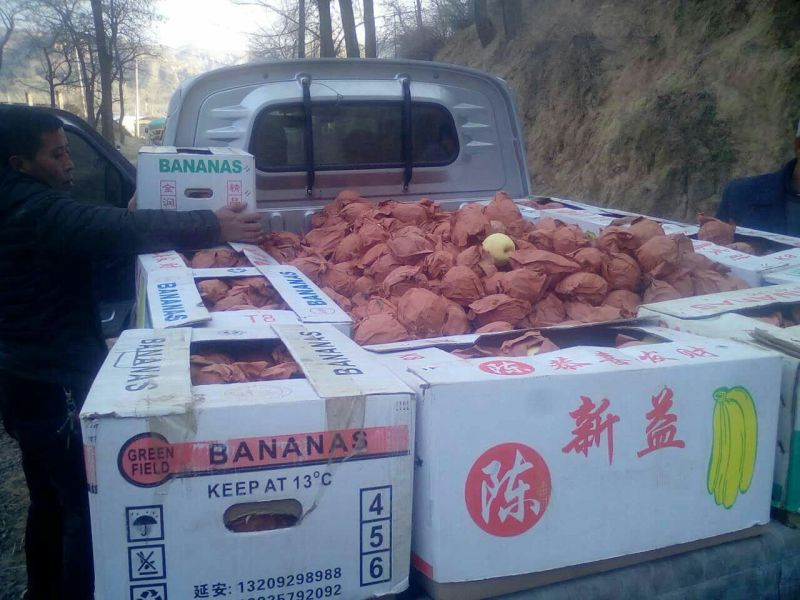 酥梨350~400g纸袋