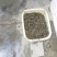 田螺食用鲜活