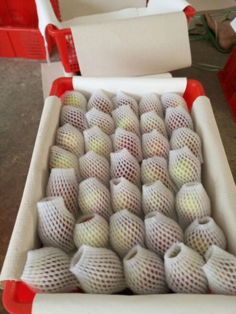 无花果70~80g