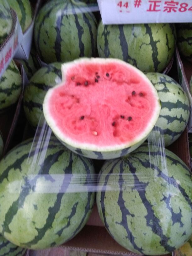 湖南岳阳市君山区8424西瓜 6斤打底 9成熟 1茬