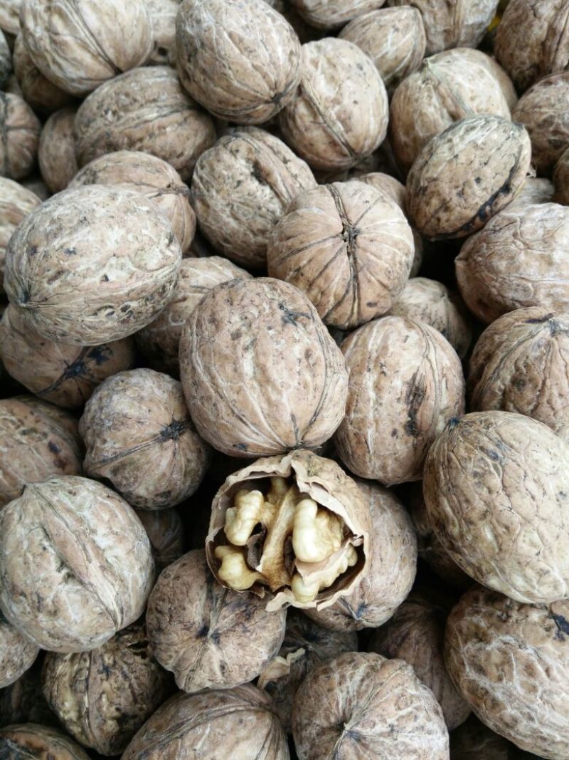 香玲核桃去皮干
